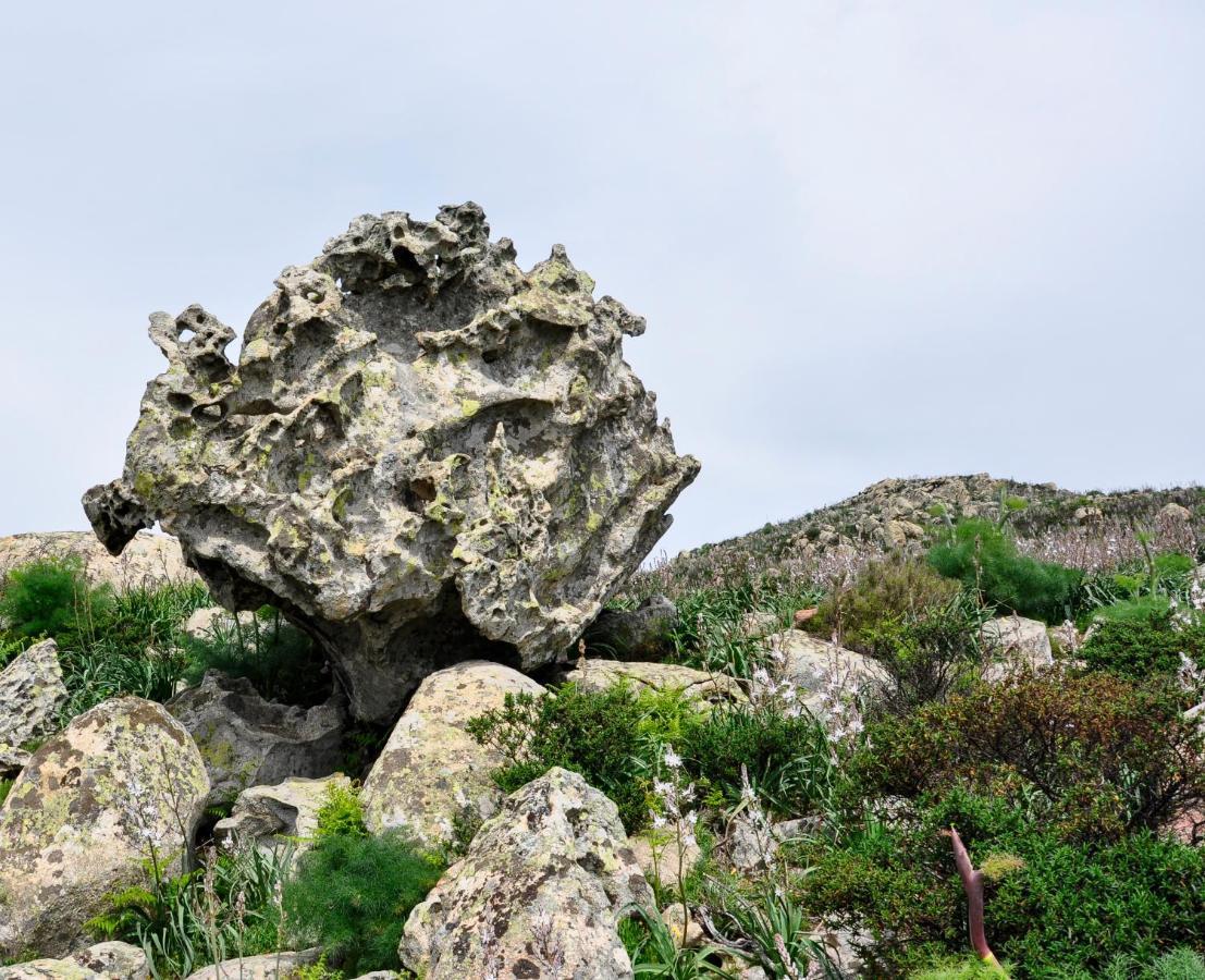 Casa Vacanze Fenu Irgoli Bagian luar foto